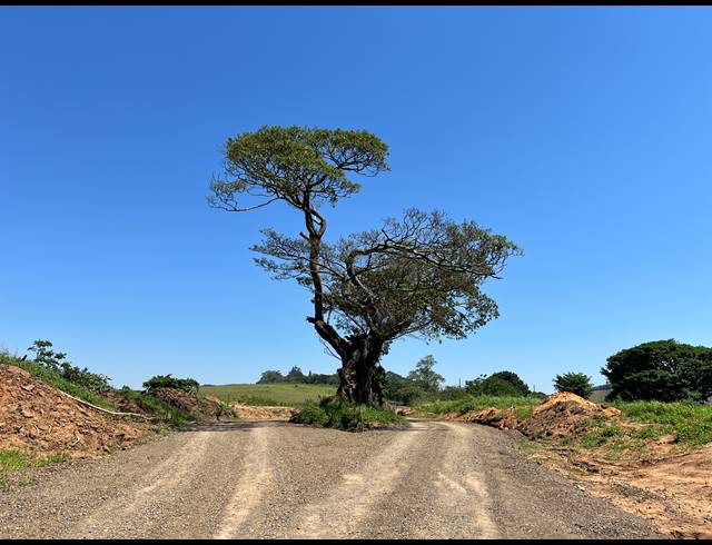 691M² VACANT LAND FOR SALE IN BALLITO CENTRAL